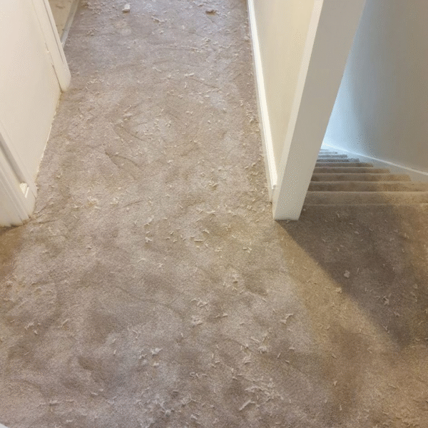 SoftTread Solutions - Carpet